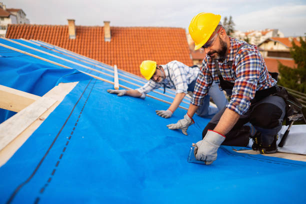 Best Storm Damage Roof Repair  in Farmington, MS